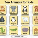 Zoo Animals for Kids in English
