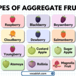 Aggregate Fruits examples strawberry blackberry raspberry soursop pictures