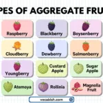 Aggregate Fruits examples strawberry blackberry raspberry soursop pictures