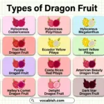 Types of Dragon Fruit with Names and Pictures