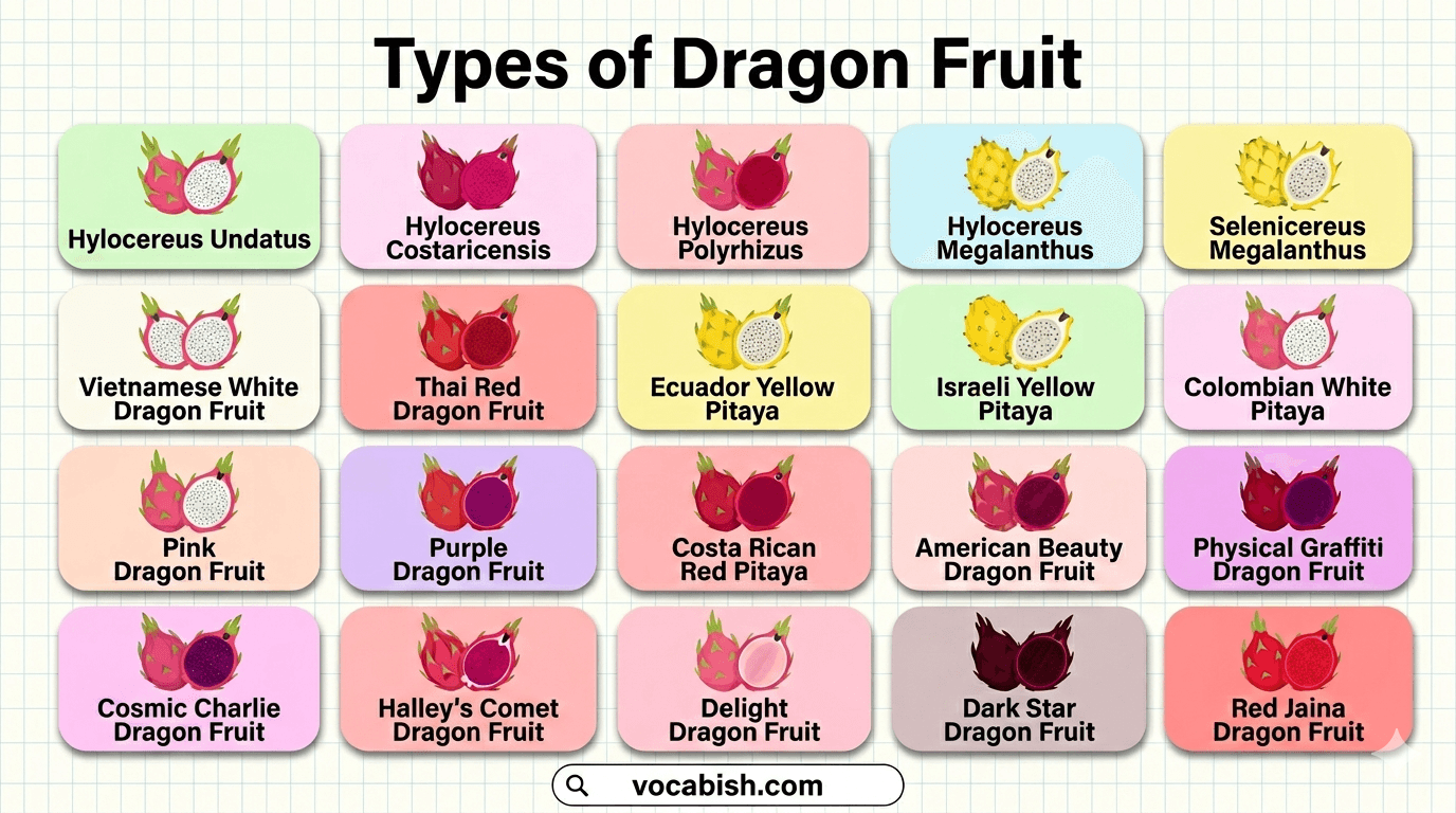 Types of Dragon Fruit with Names and Pictures