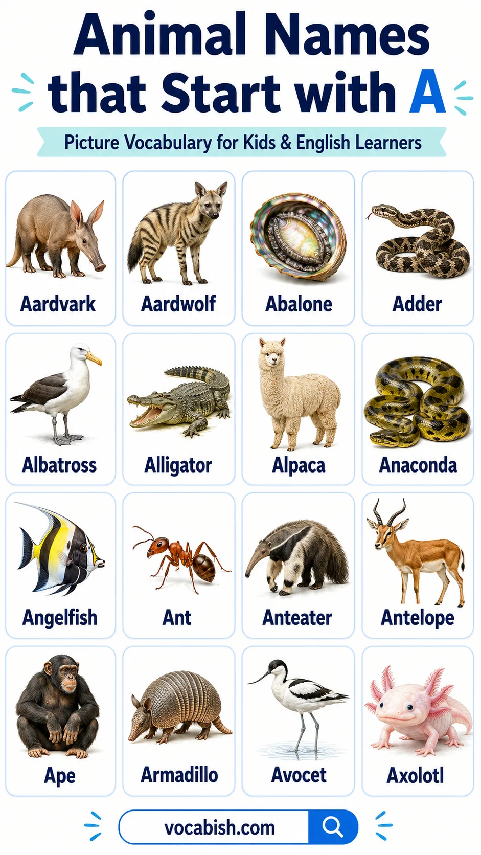 Animal Names that Start with A