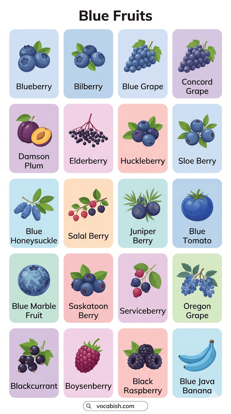 Blue Fruits Name in English with Pictures