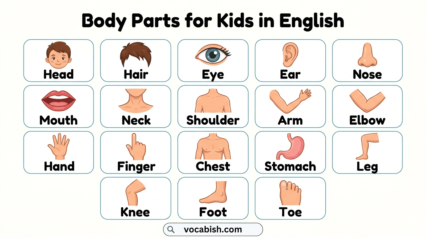 Body Parts for Kids in English with Labelled Diagram