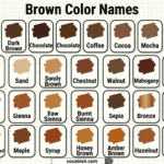 Brown Color Names in English with Pictures