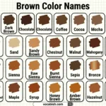 Brown Color Names in English with Pictures