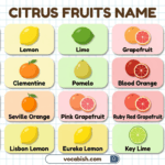 Citrus Fruits Name in English with Pictures
