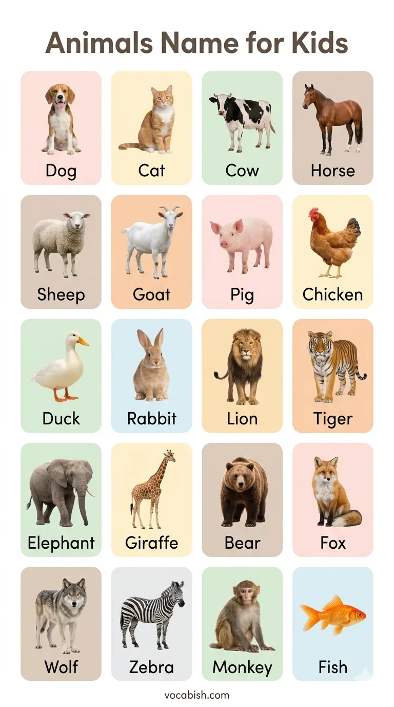 Common Animals Name for Kids with Pictures