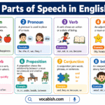 Differences between parts of speech in English with examples of noun verb adjective and adverb usage