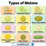 Different Types of Melons and Pictures