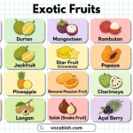 Exotic Fruits Name in English with Pictures