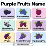 List of Purple Fruits with Names and Uses