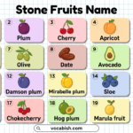 List of Stone Fruits Names with Pictures