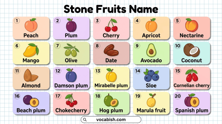 List of Stone Fruits Names with Pictures