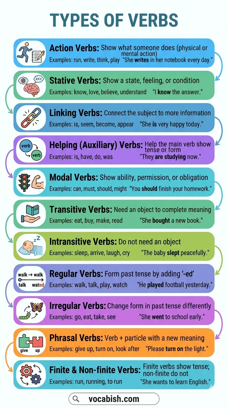 Types of Verbs Explained  in English with Examples