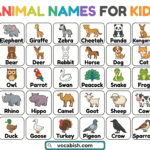 Names of Animals for Kids with Pictures