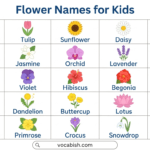 Names of Flowers with Pictures for Kids