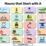 Noun Words Starting with A in English