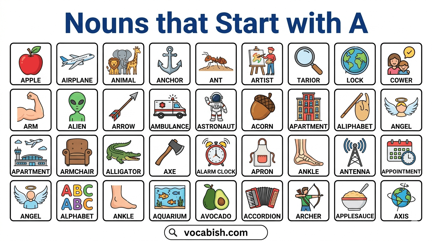List of Noun Words Starting with A