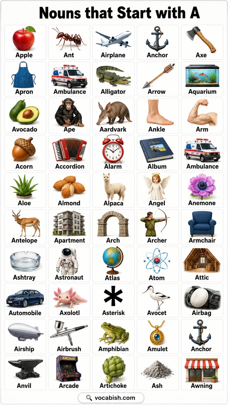 Nouns That Start with A and Their Pictures