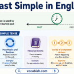 Past Simple Tense definition and examples showing completed past actions