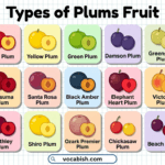 Plum Varieties with Pictures