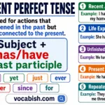 Present perfect tense uses and examples in English with life experiences, recent actions, and common signal words like already, just, and since.