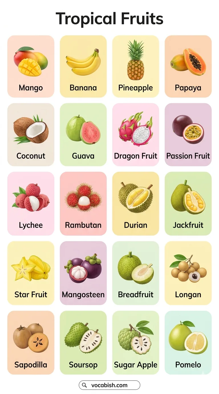 Tropical Fruits Name in English