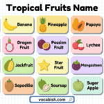 Tropical Fruits with Names and Pictures