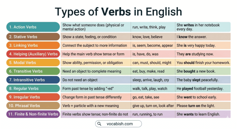 Verb and Their Types Explained with Examples