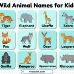 Wild Animals Name for Kids with Pictures