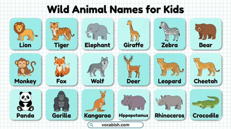 Wild Animals Name for Kids with Pictures