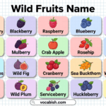 Wild Fruits Name in English with Pictures