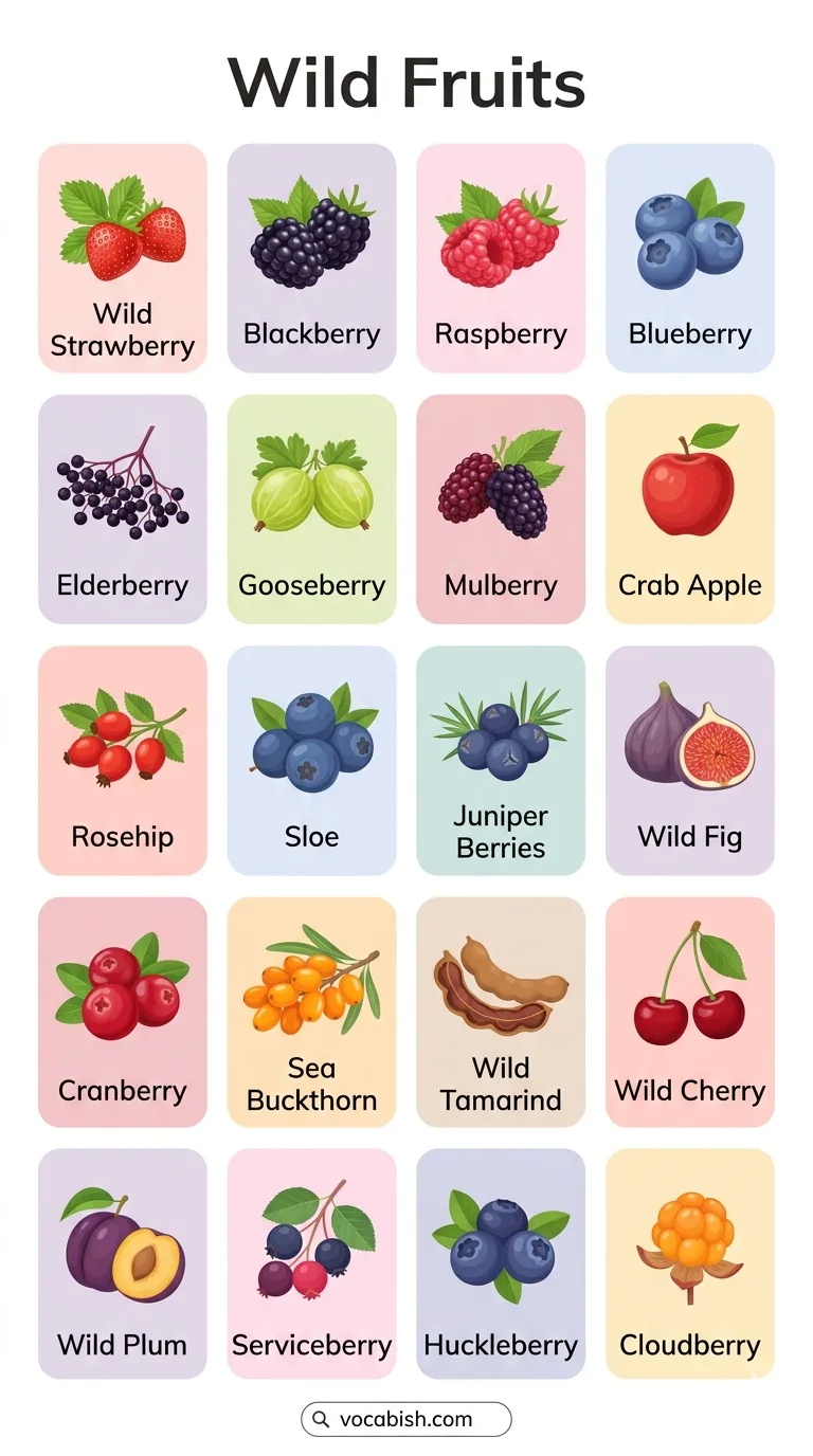 Wild Fruits Name in English