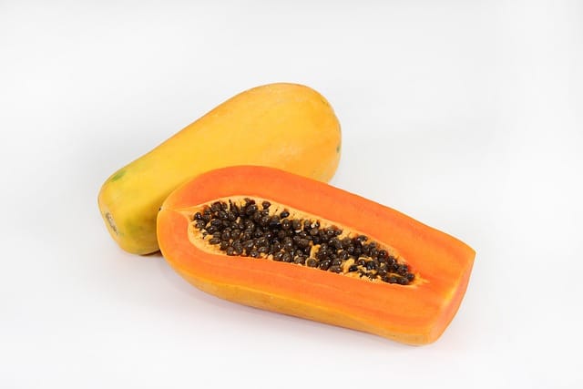 Papaya fruit season