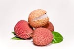 Lychee fruit season