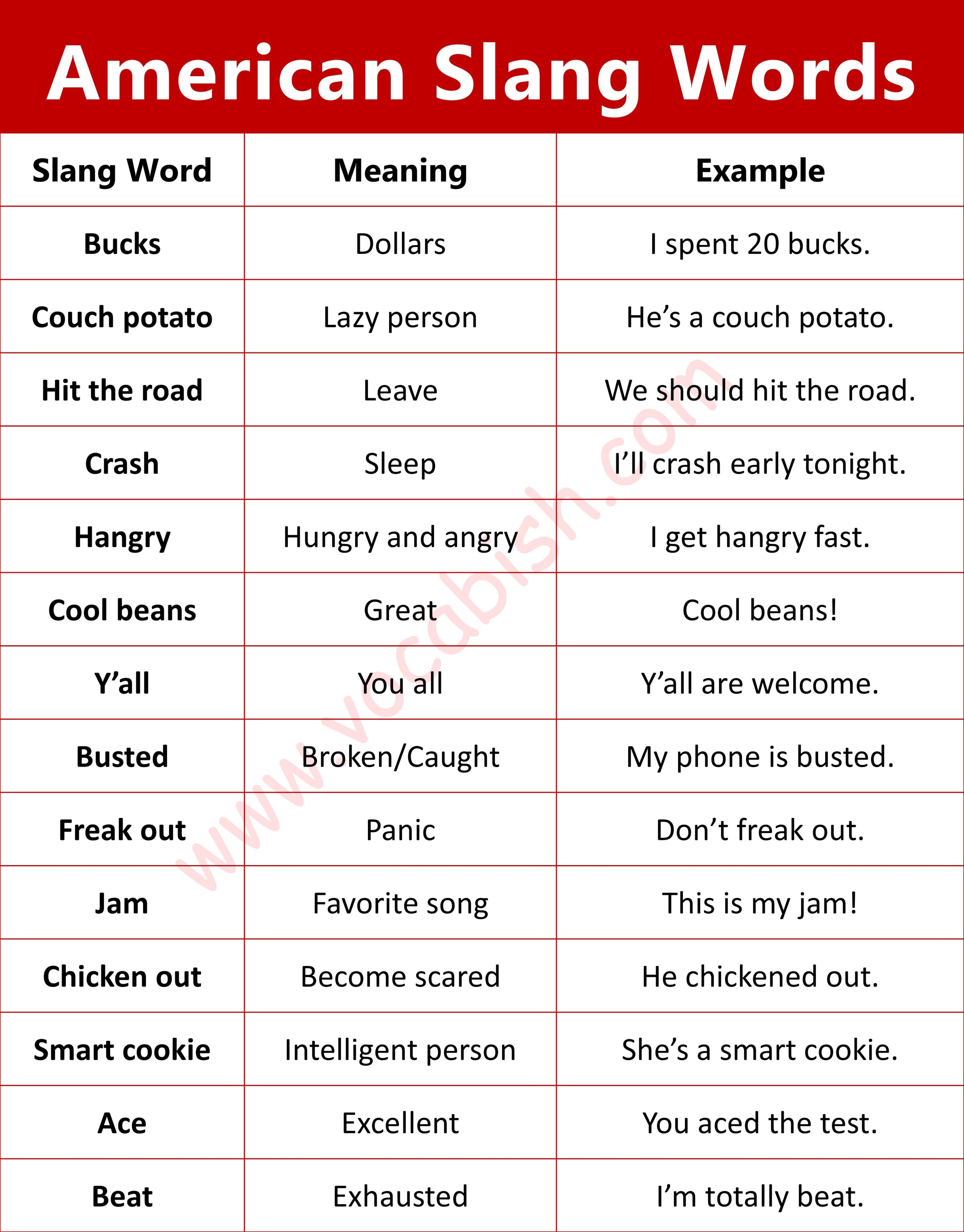 American slang words infographic with meanings and bright classroom-style graphics.