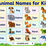 Animal Names for Kids in English