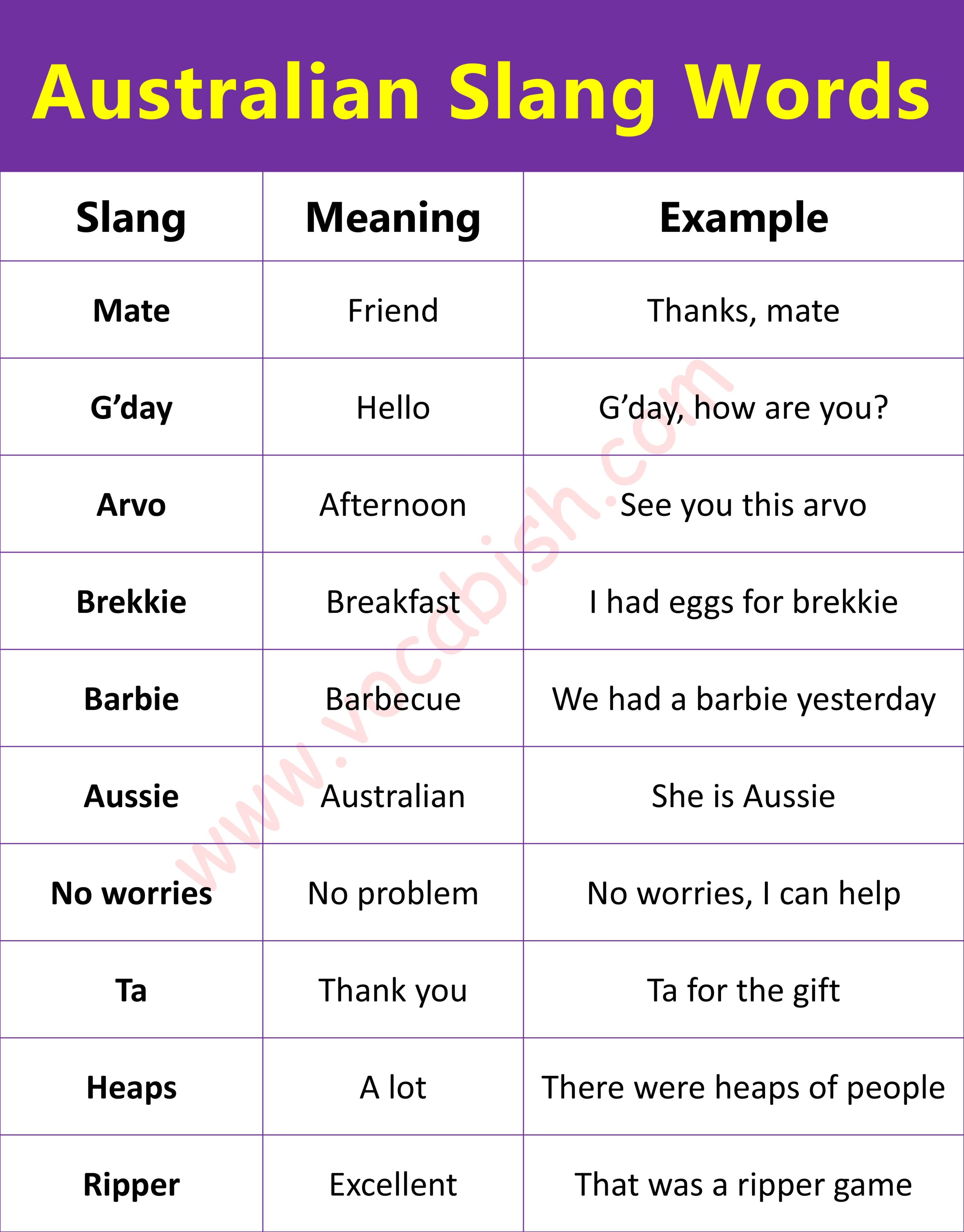 Australian Slang and Meanings PDF