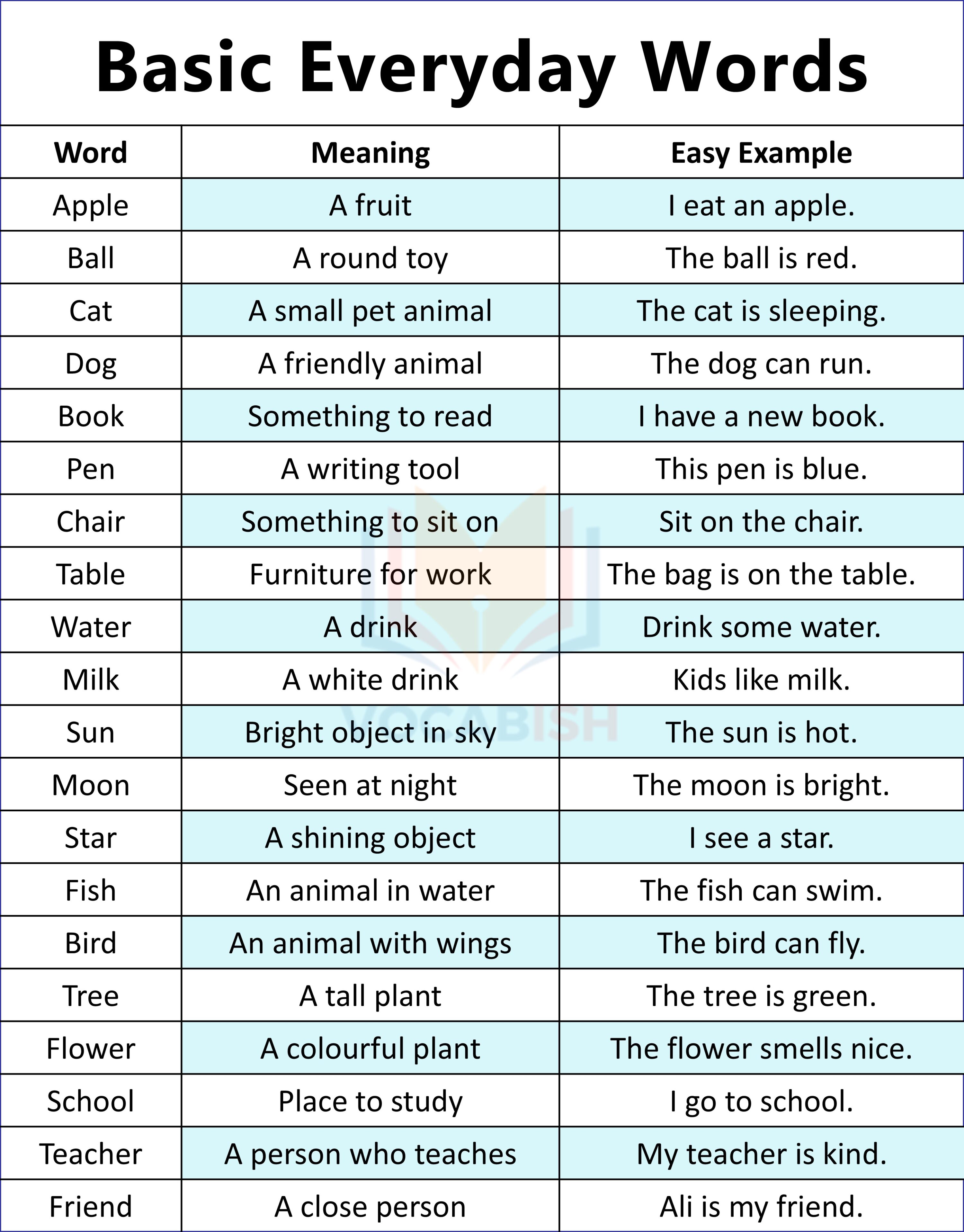Basic Everyday Words for Kids