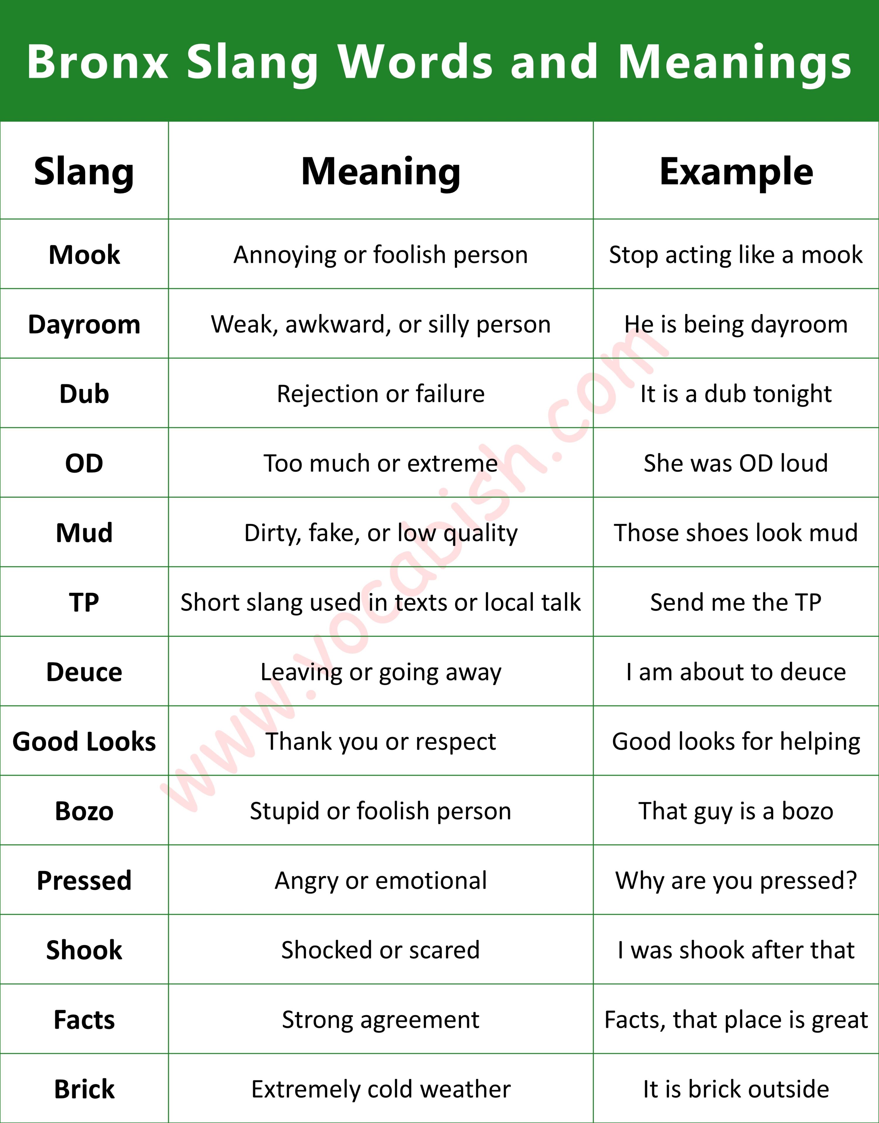 Bronx Slang Words and Meanings