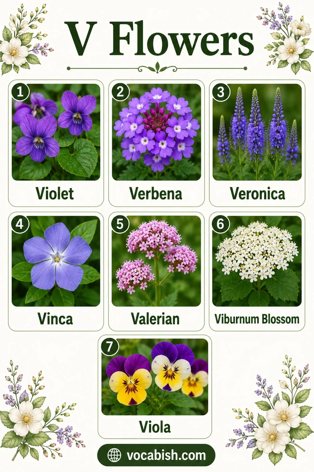 Flower names starting with V including Violet, Verbena, Veronica, Vinca, Valerian, Viburnum Blossom, and Viola