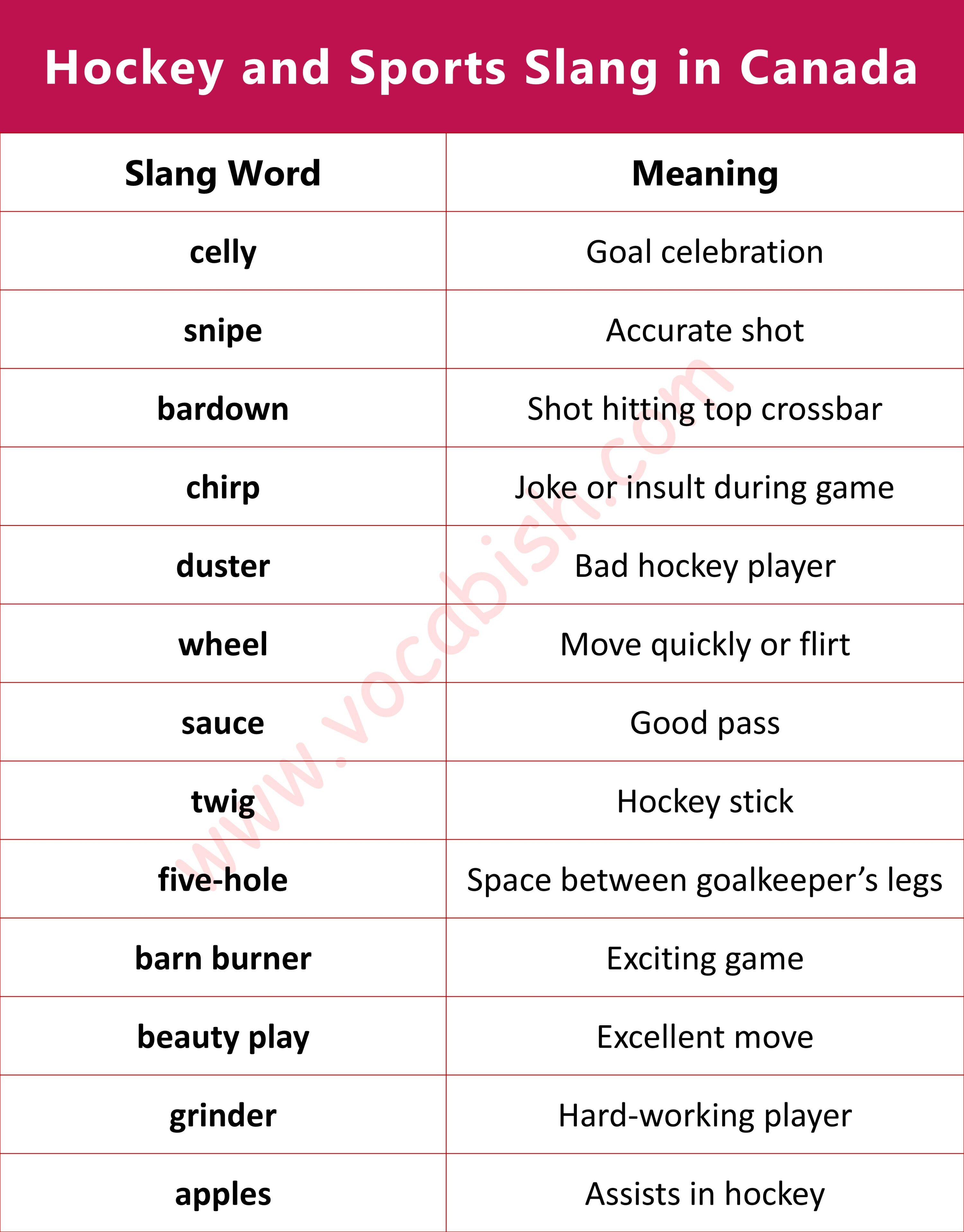 Hockey and Sports Slang in Canada