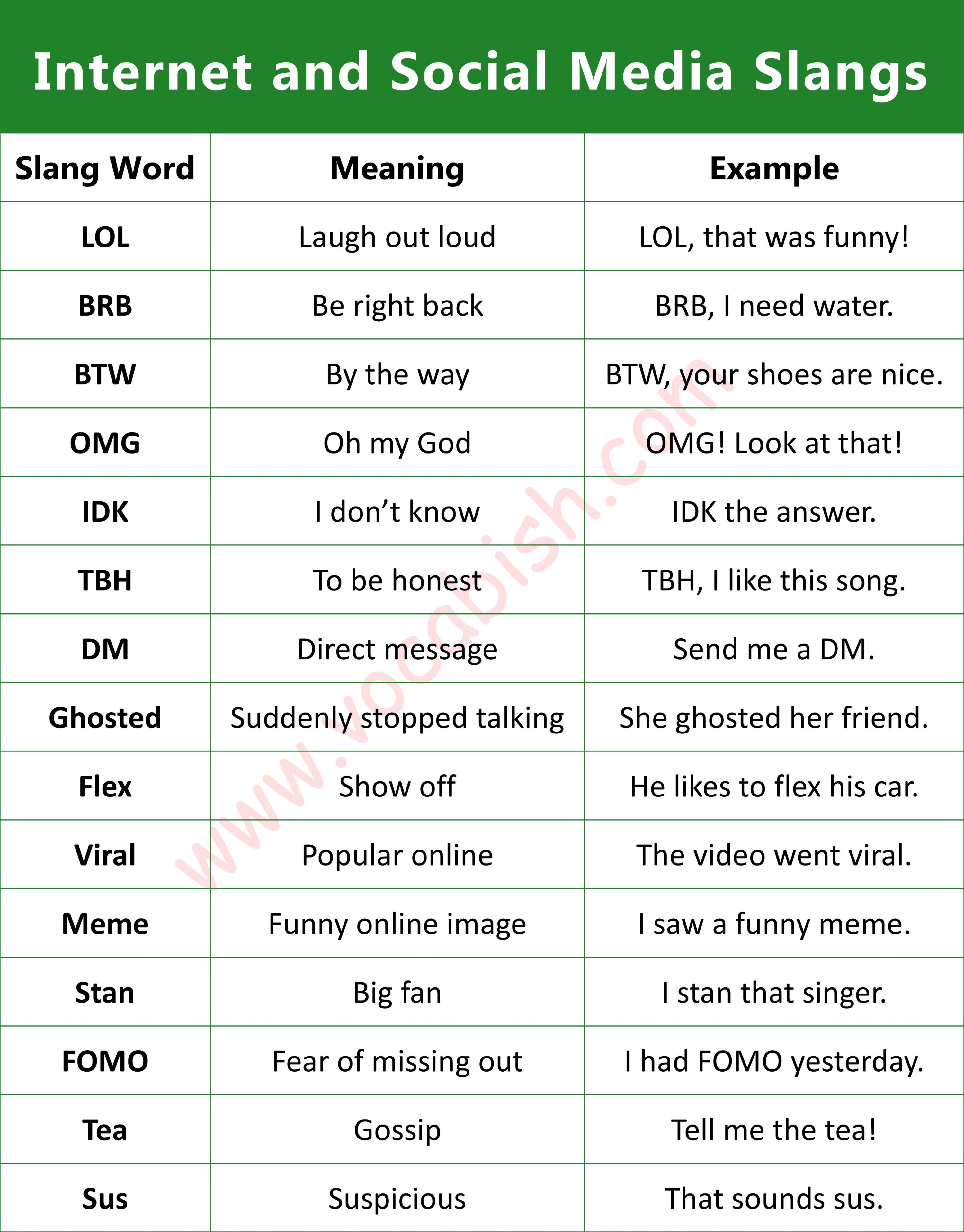Internet and social media slang words chart with meanings and colorful online communication icons.