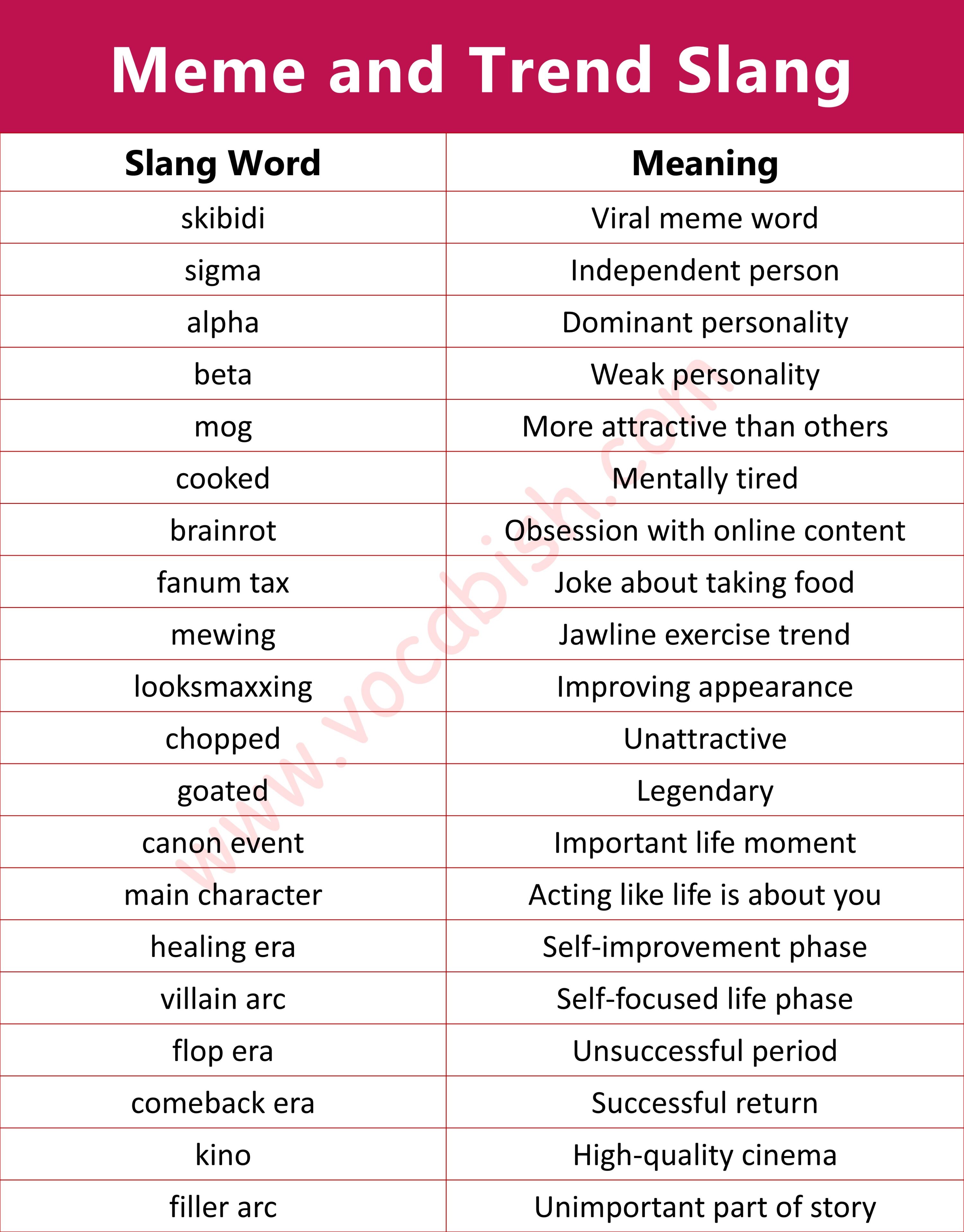 Meme and Trend Slang