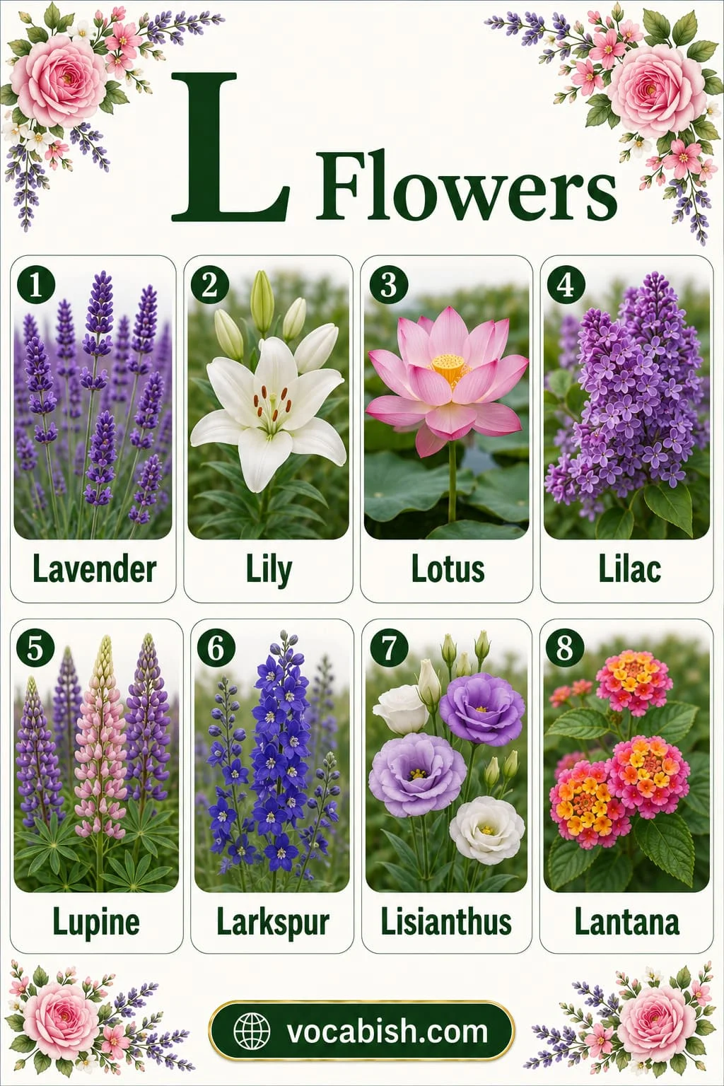 Flower names starting with L including Lavender, Lily, Lotus, Lilac, Lupine, Larkspur, Lisianthus, and Lantana