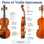 Parts of Violin Instrument and Their Functions