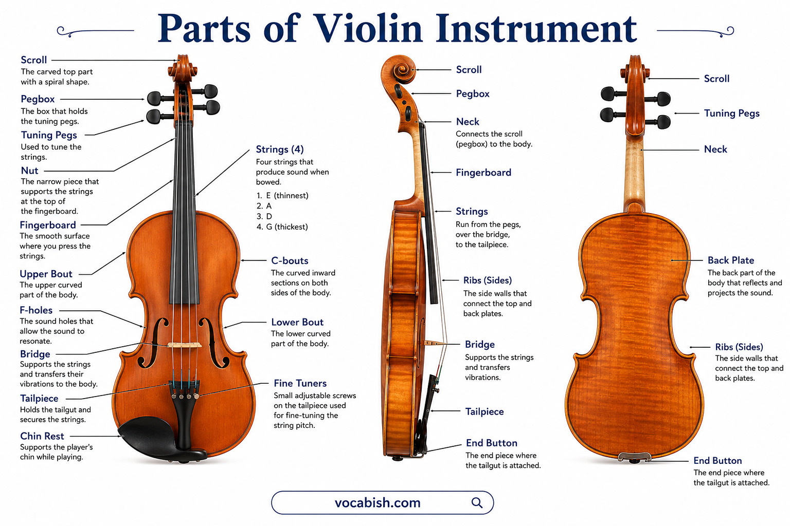 Parts of Violin Instrument and Their Functions