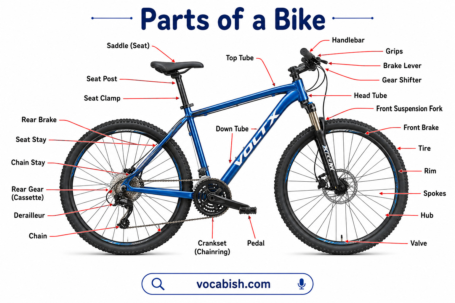 Parts of a Bike Diagram