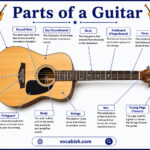 Parts of a Guitar Labeled Diagram